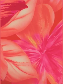 Bas de maillot de bain taille haute à imprimé floral et ceinture amovible
