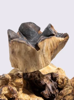 Objet décoratif splendide