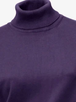 Pull à col roulé en tricot doux manches longues