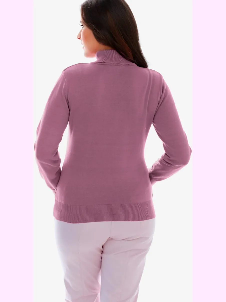 Pull à col roulé en tricot doux manches longues