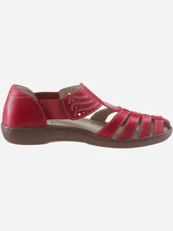 Trotteurs largeur g*